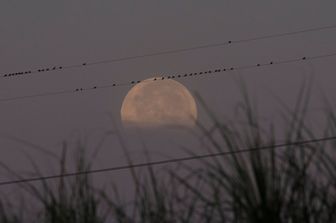 La super luna vista vicino alle linee elettriche vicino a Yangon, Myanmar (AFP)&nbsp;
