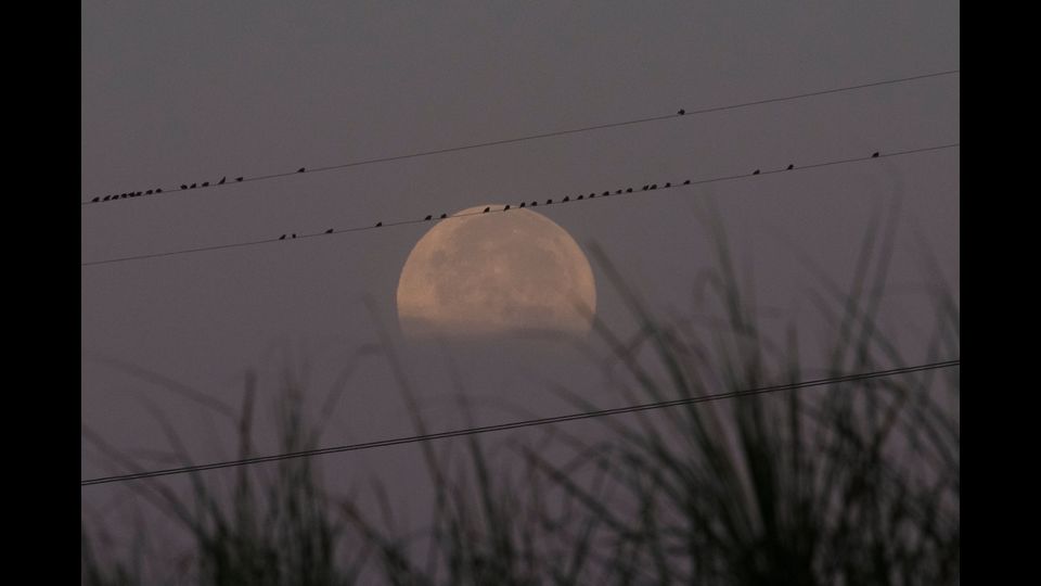 La super luna vista vicino alle linee elettriche vicino a Yangon, Myanmar (AFP)&nbsp;