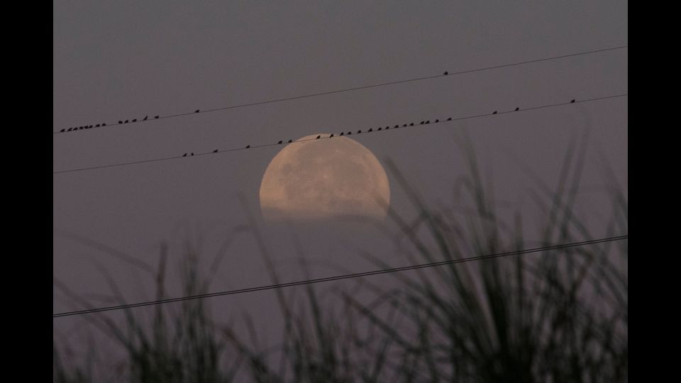 La super luna vista vicino alle linee elettriche vicino a Yangon, Myanmar (AFP)&nbsp;