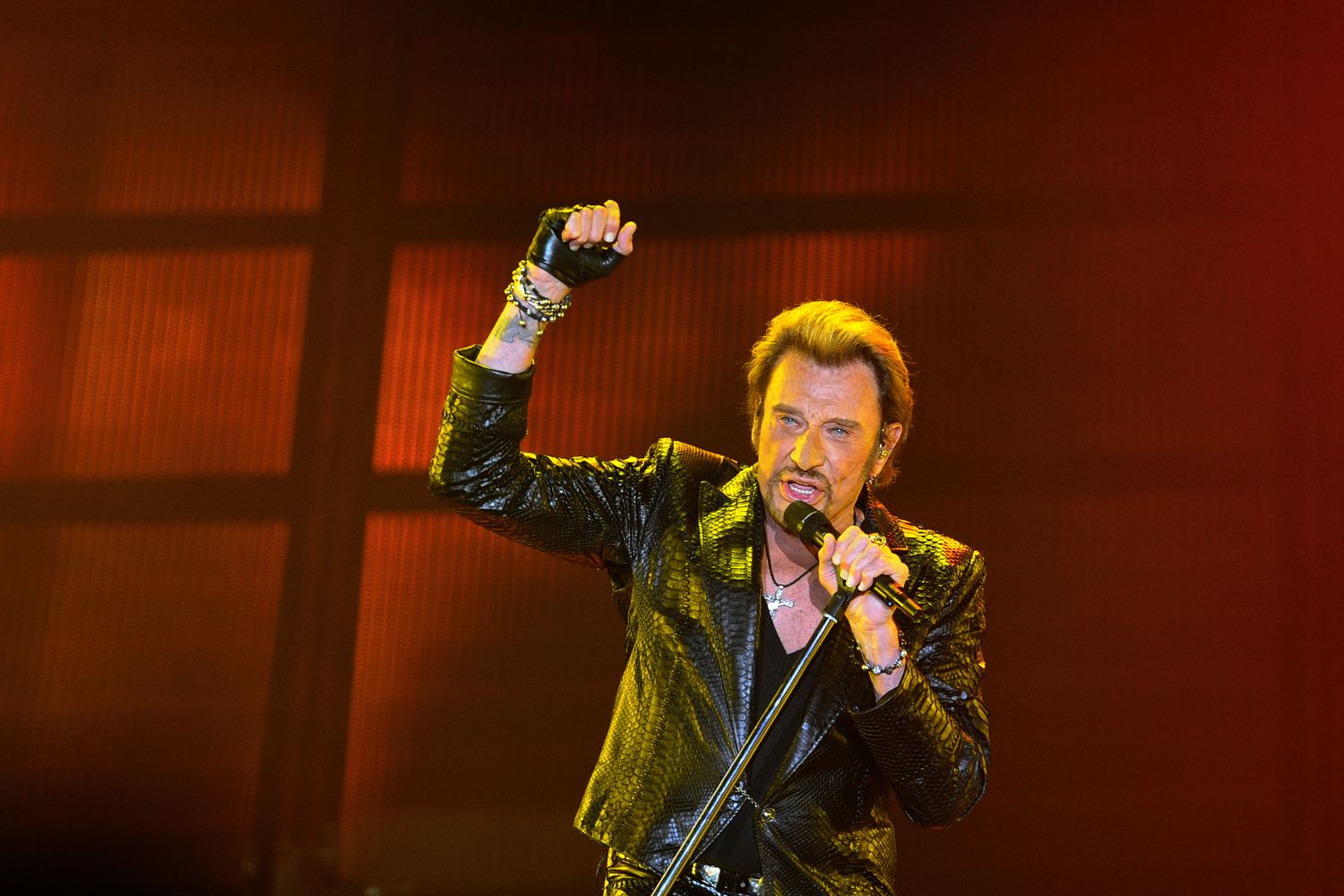 &nbsp;johhny hallyday