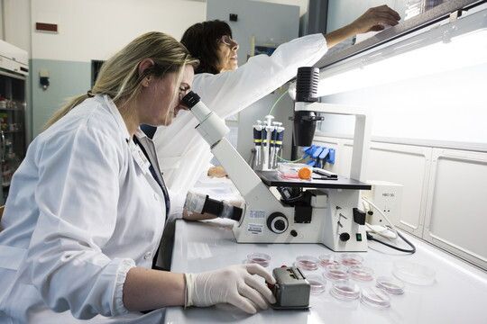 &nbsp;Laboratorio del centro antiveleni della Maugeri di Pavia&nbsp;