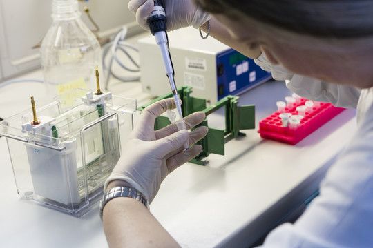 &nbsp;Laboratorio del centro antiveleni della Maugeri di Pavia&nbsp;