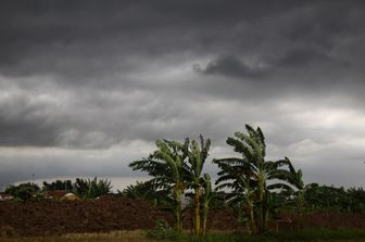 &nbsp;Isola di Giava