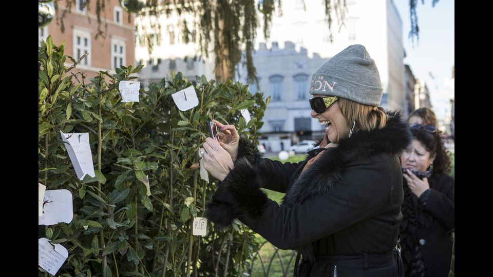 Perch&eacute;, in fondo, i perdenti fanno spesso simpatia, soprattutto a Natale.