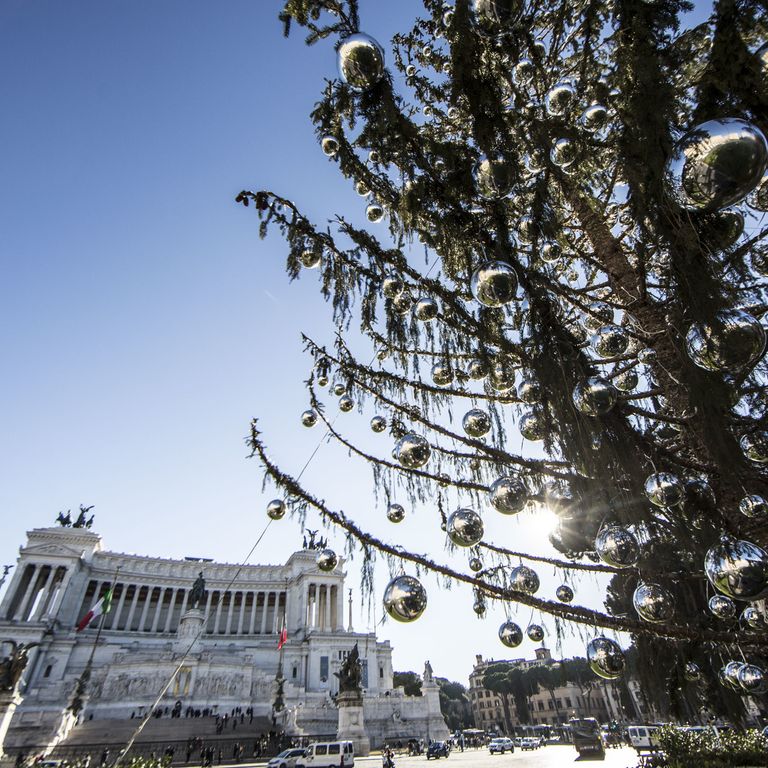 Doveva essere un semplice albero di Natale, decorato con luci e palline colorate dall'8 dicembre fino all'Epifania. Ma gi&agrave; dal giorno della sua posa in piazza Venezia, nel giorno dell'Immacolata, &egrave; stato evidente che l'albero piazzato dal Campidoglio nel cuore del centro storico, proveniente dalla Val di Fiemme in Trentino, stava perdendo a vista d'occhio le sue foglie a forma di ago.