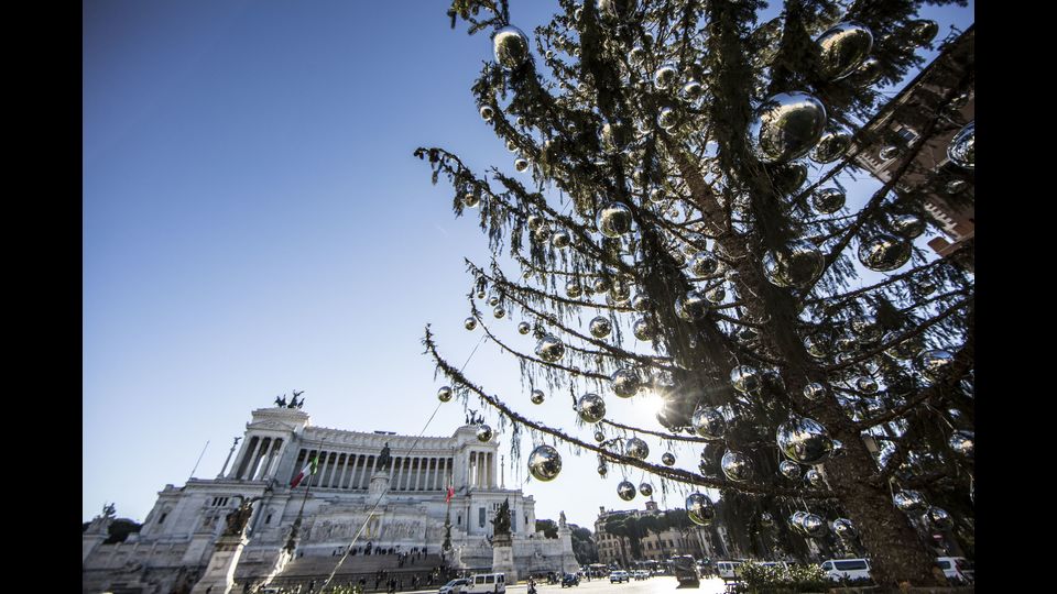 Doveva essere un semplice albero di Natale, decorato con luci e palline colorate dall'8 dicembre fino all'Epifania. Ma gi&agrave; dal giorno della sua posa in piazza Venezia, nel giorno dell'Immacolata, &egrave; stato evidente che l'albero piazzato dal Campidoglio nel cuore del centro storico, proveniente dalla Val di Fiemme in Trentino, stava perdendo a vista d'occhio le sue foglie a forma di ago.