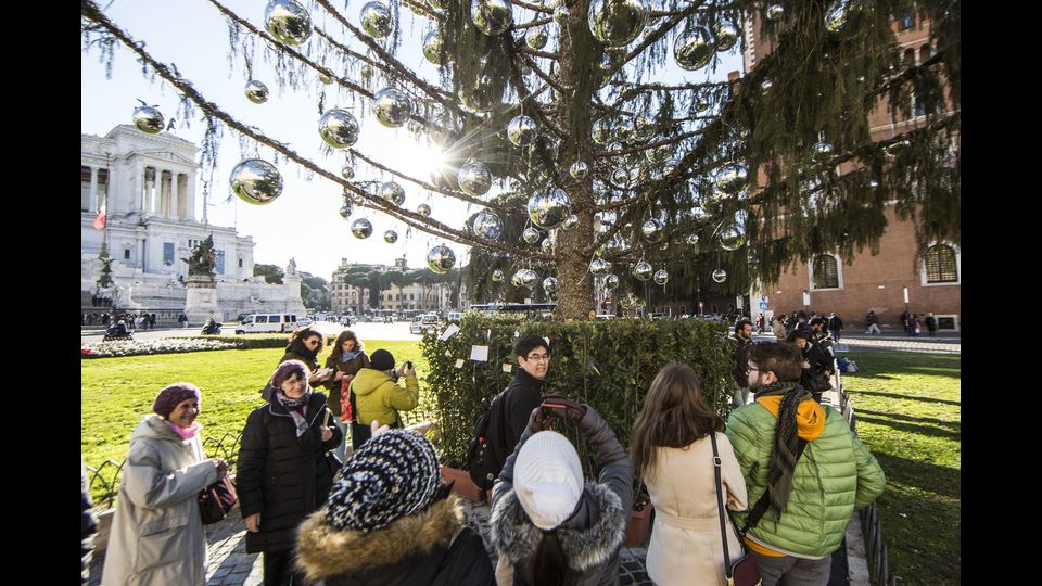 &quot;Pare proprio che il nostro albero di Natale sia diventato la mascotte internazionale delle feste, soprattutto fra i turisti. Da un'indagine di Manet Mobile, nuova start up romana del turismo, risulta che nell'ultima settimana i turisti passati per Piazza Venezia siano aumentati del 10%! Tutti a omaggiare Spelacchio, addirittura piu' gettonato di molti monumenti. Una vera e propria attrattiva piaciuta in particolar modo ai visitatori fra i 18 e i 45 anni, che hanno affollato la piazza creando una bella atmosfera natalizia&quot;, Scrive l'assessore capitolino al Commercio Adriano Meloni sul suo profilo Facebook, &quot;Un successo dovuto in larga misura anche alla stampa, che ringrazio, perche' ci ha aiutati a pubblicizzare Spelacchio facendolo diventare una star&quot;.