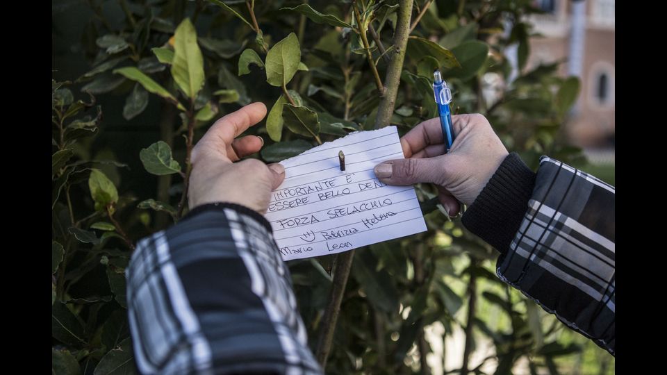 Solitamente dopo il taglio delle radici le piante ad alto fusto resistono fino a due mesi, ma non questo abete rosso. Da l&igrave; ad affibbiargli il soprannome 'Spelacchio' il passo &egrave; stato brevissimo.&nbsp;