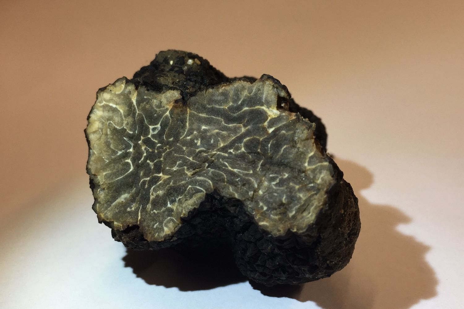 &nbsp;Il tartufo nero trovato vicino la torre Eiffel