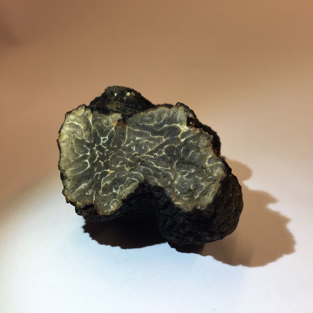 &nbsp;Il tartufo nero trovato vicino la torre Eiffel