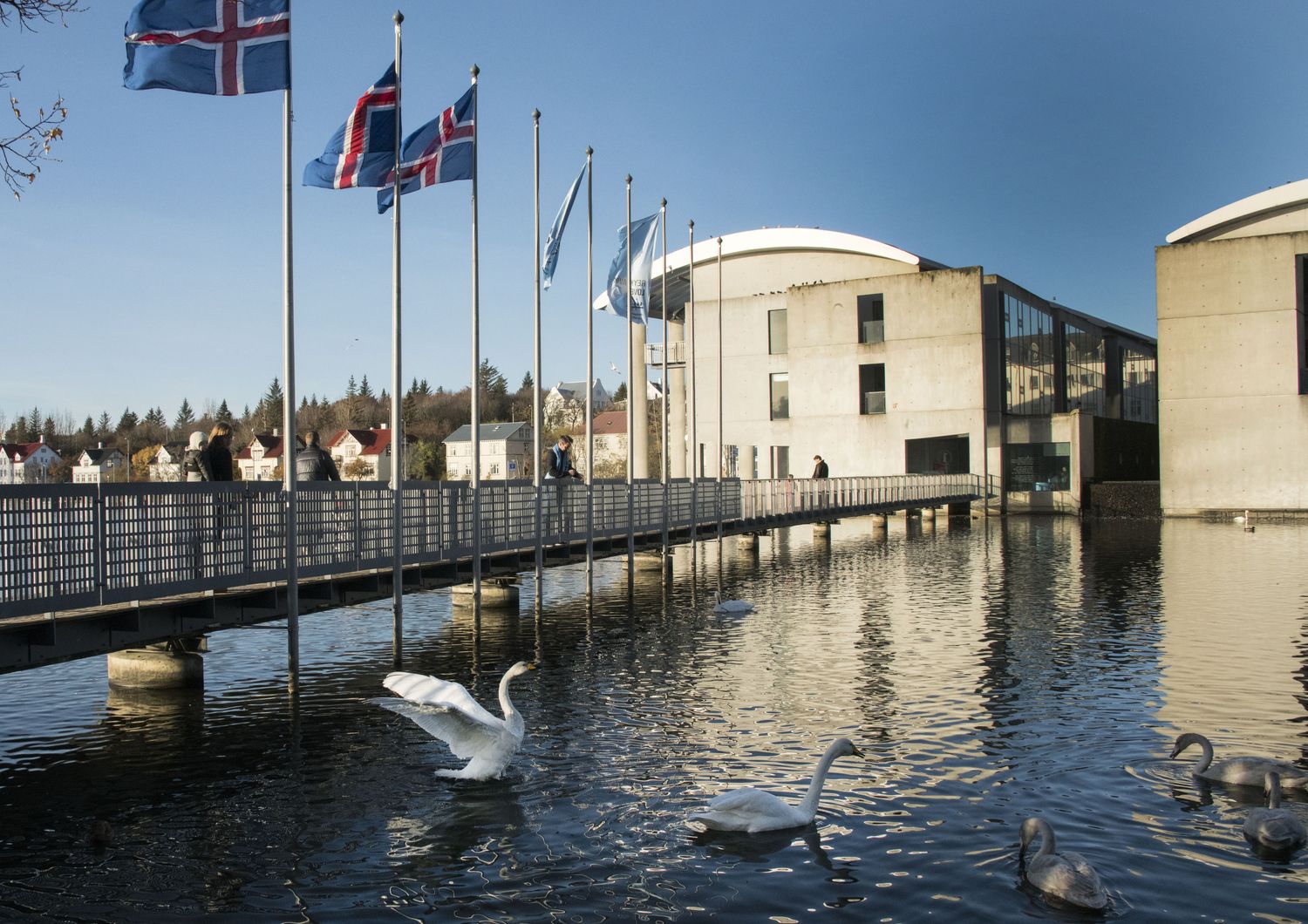 &nbsp;Reykjavik, Islanda