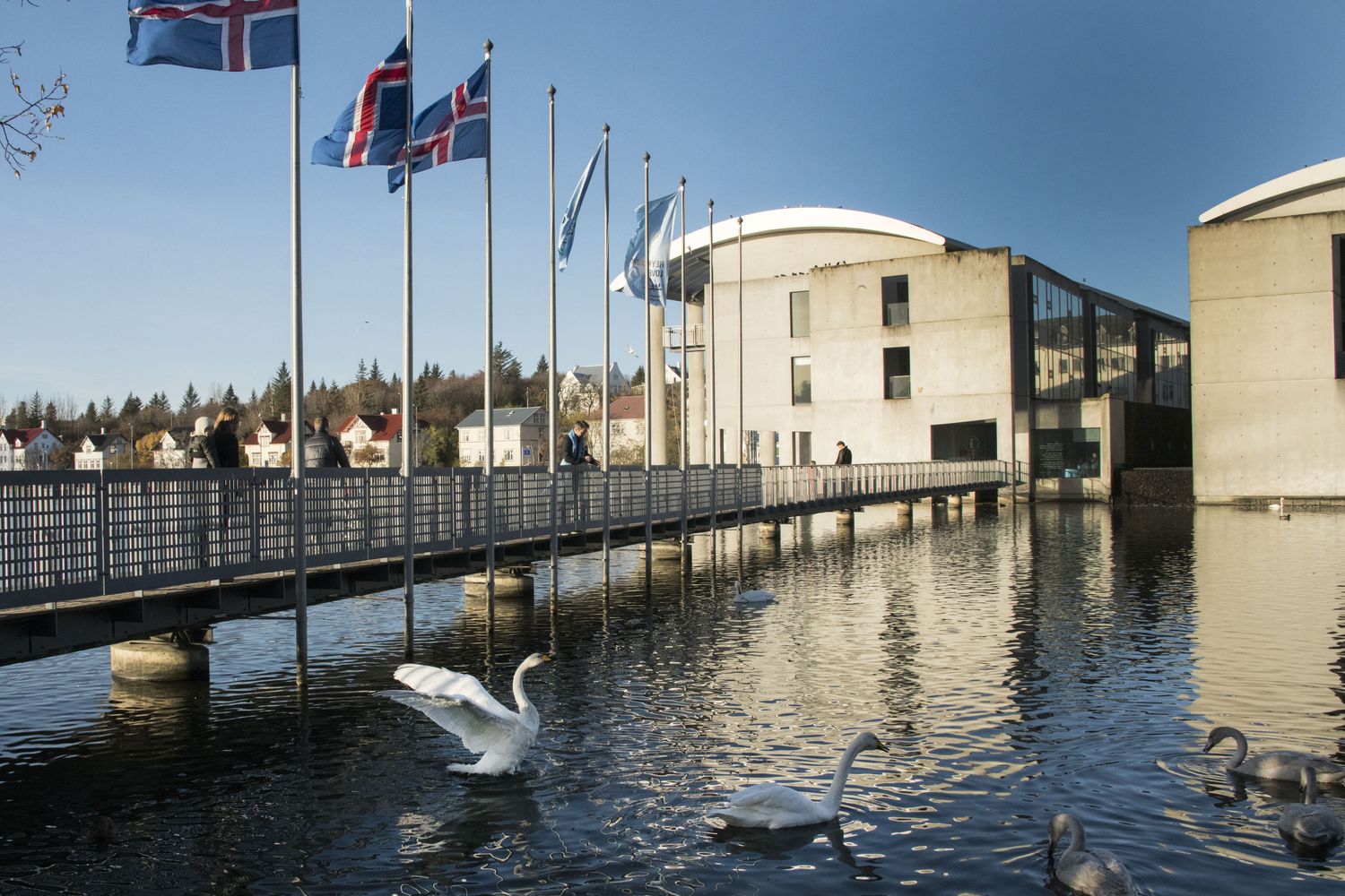 &nbsp;Reykjavik, Islanda