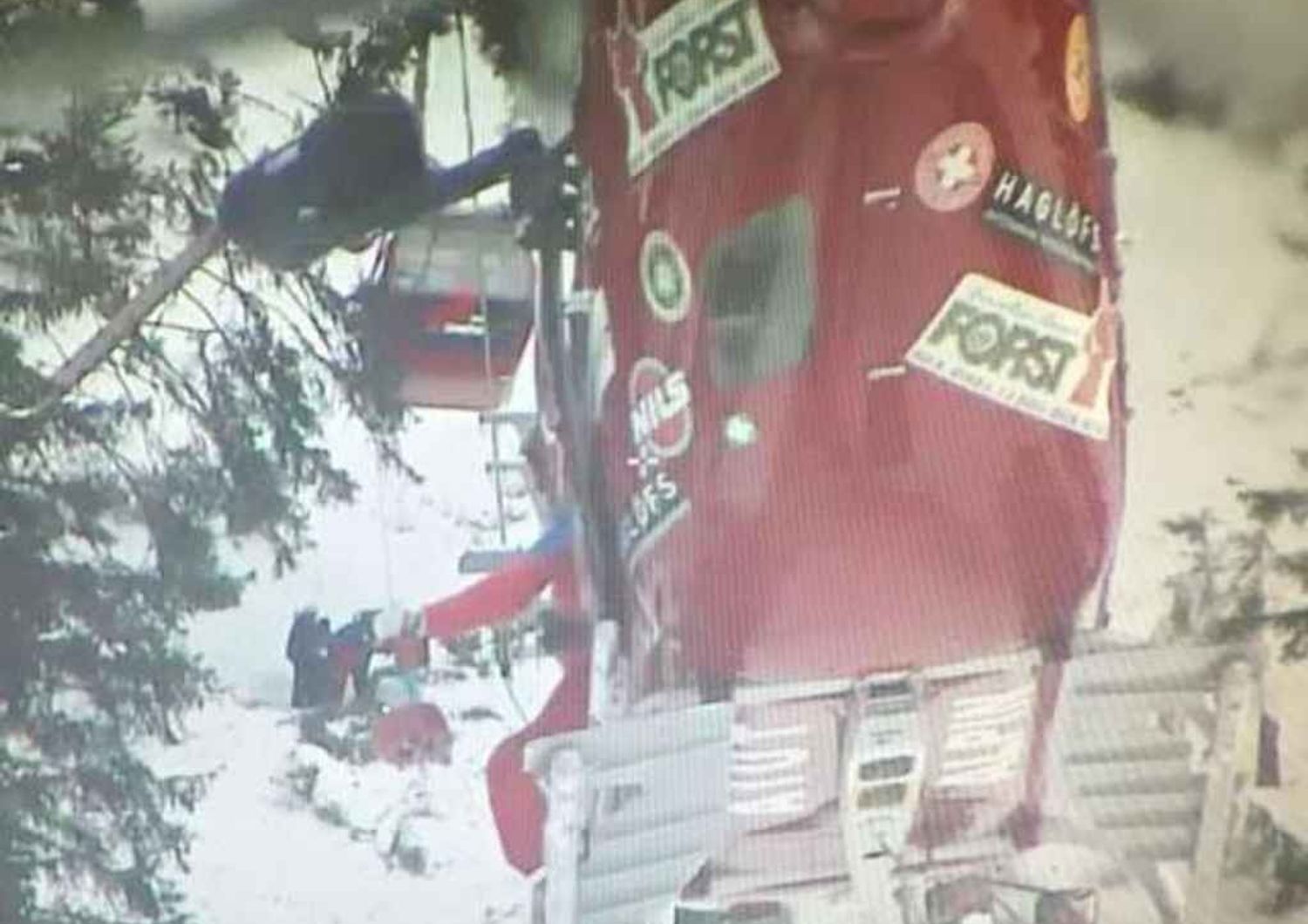 Albero su cabinovia in Val Gardena, panico per 200 turisti