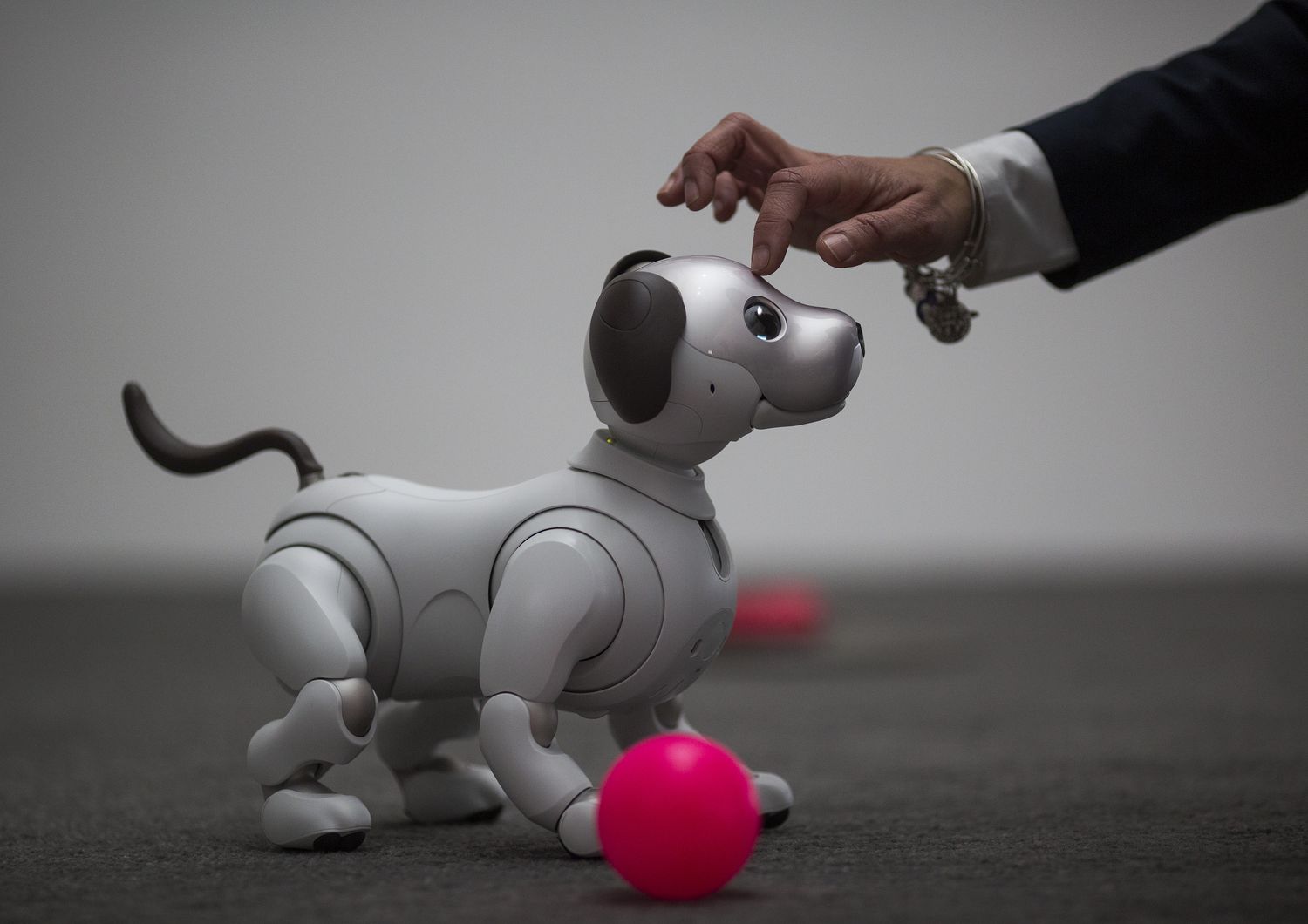 La nuova generazione del robot Aibo, che utilizza intelligenze artificiali