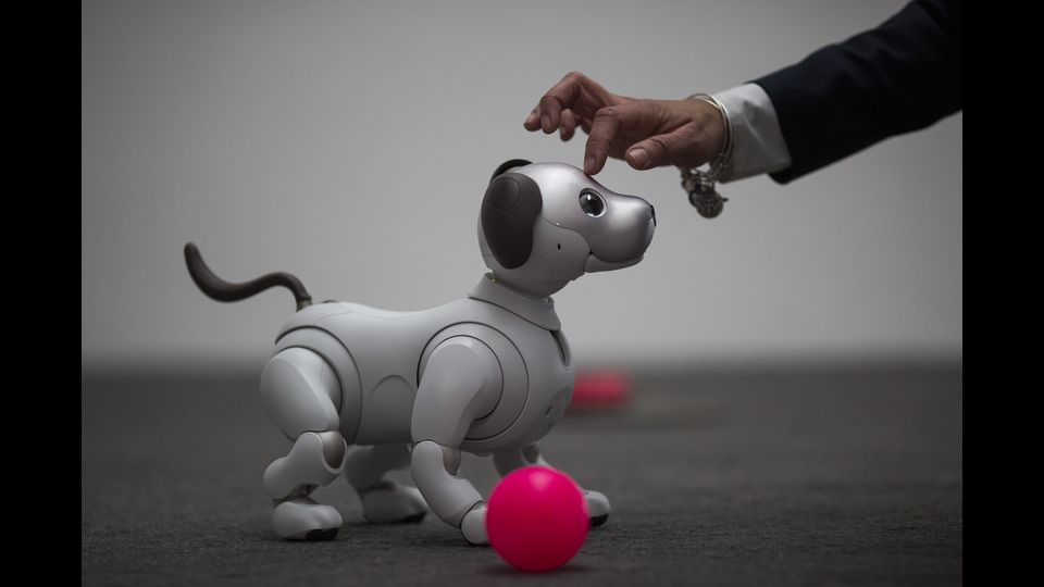 La nuova generazione del robot Aibo che utilizza intelligenze artificiali
