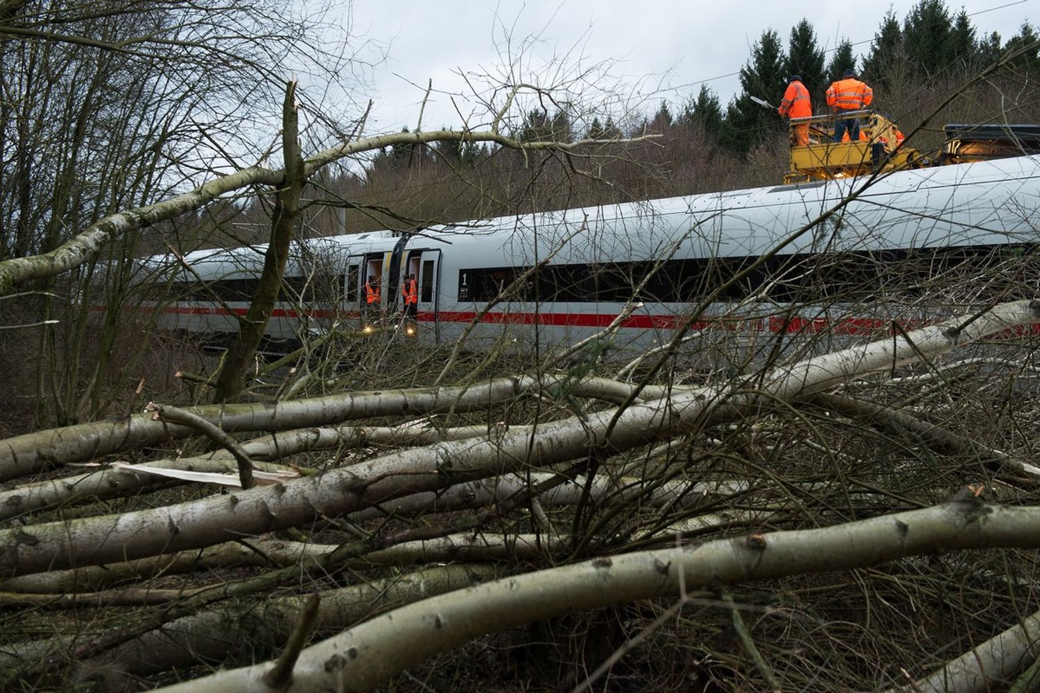 &nbsp;Alberi caduti vicino alla ferrovia nei pressi di Dusseldorf