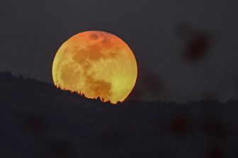 eclissi luna rossa sangue lupo