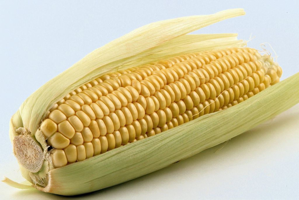 &nbsp;Dal mais si ricava il fruttosio usato anche a scopi industriali