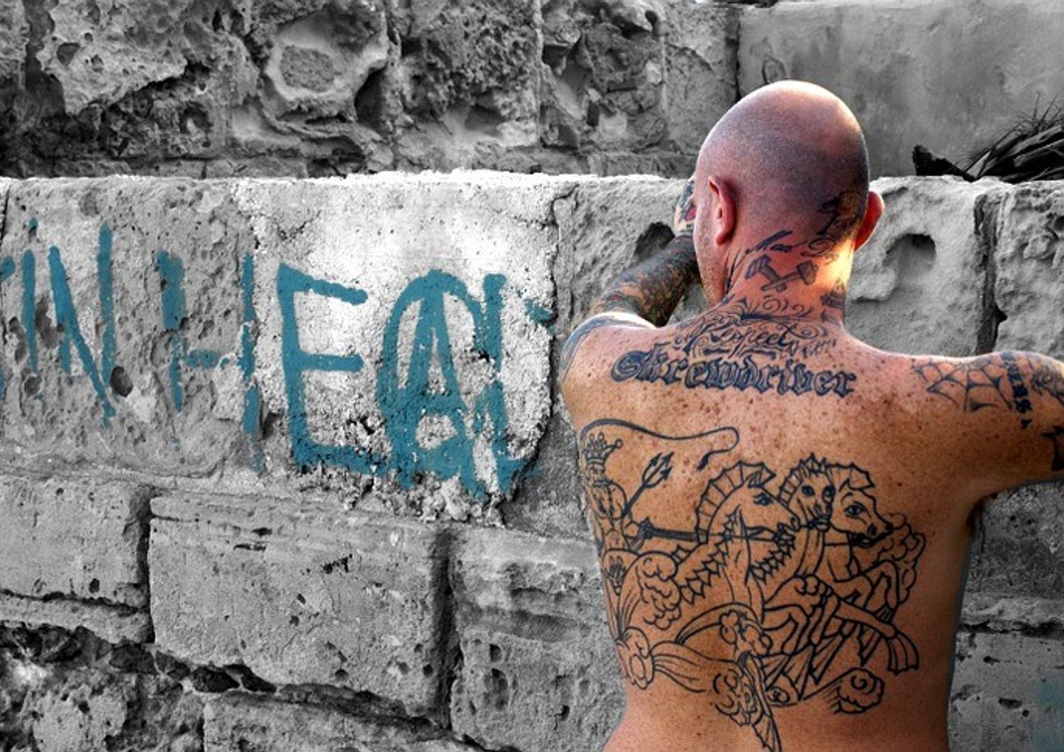 Picchiati da&nbsp;skinheads, la denuncia online di 5 immigrati a Pavia​