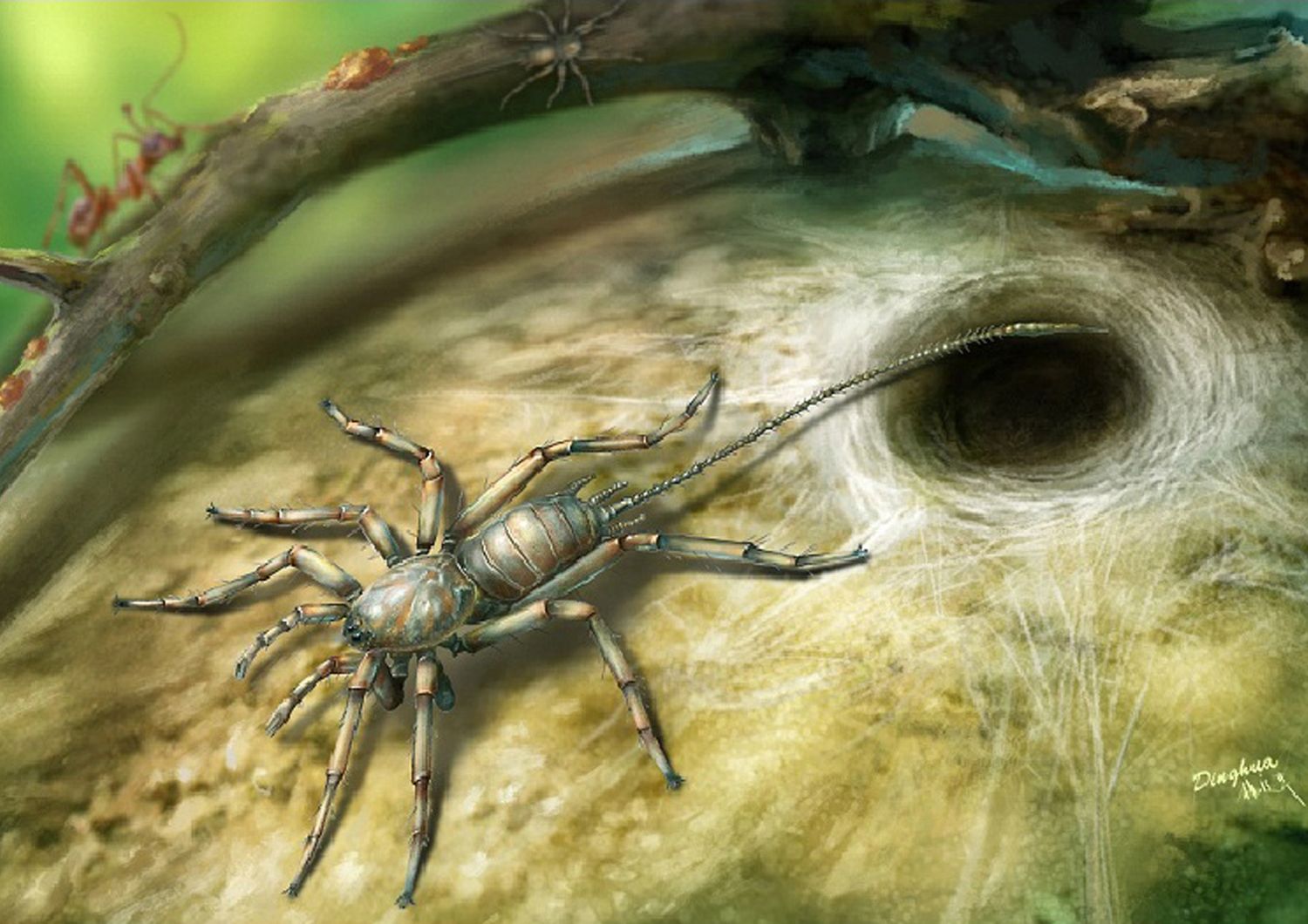 &nbsp;Il ragno con la coda scoperto in Myanmar