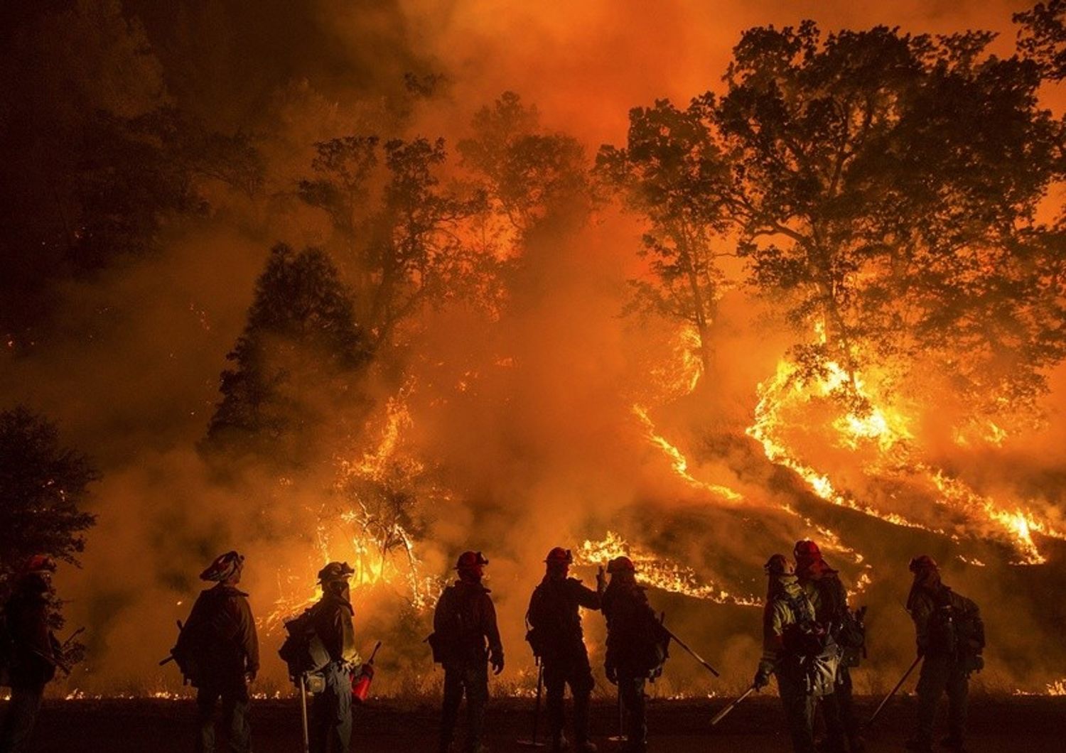 La California in fiamme, stato d'emergenza e 4 pompieri feriti - FOTO e VIDEO