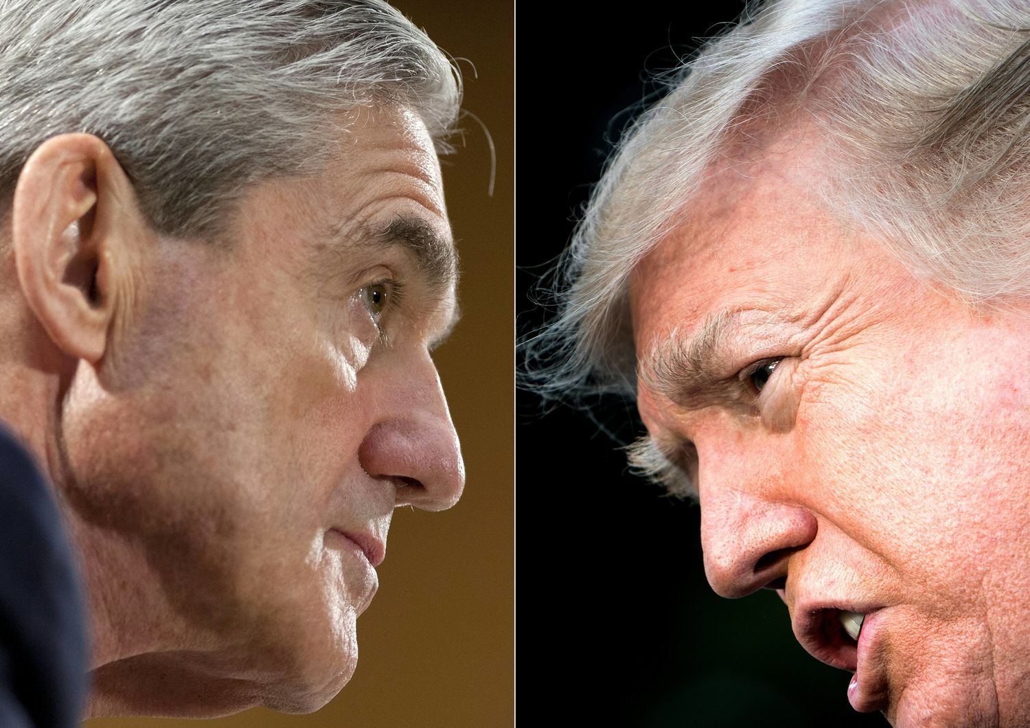 Il direttore dell' FBI Robert Mueller e il presidente americano Donald Trump&nbsp;