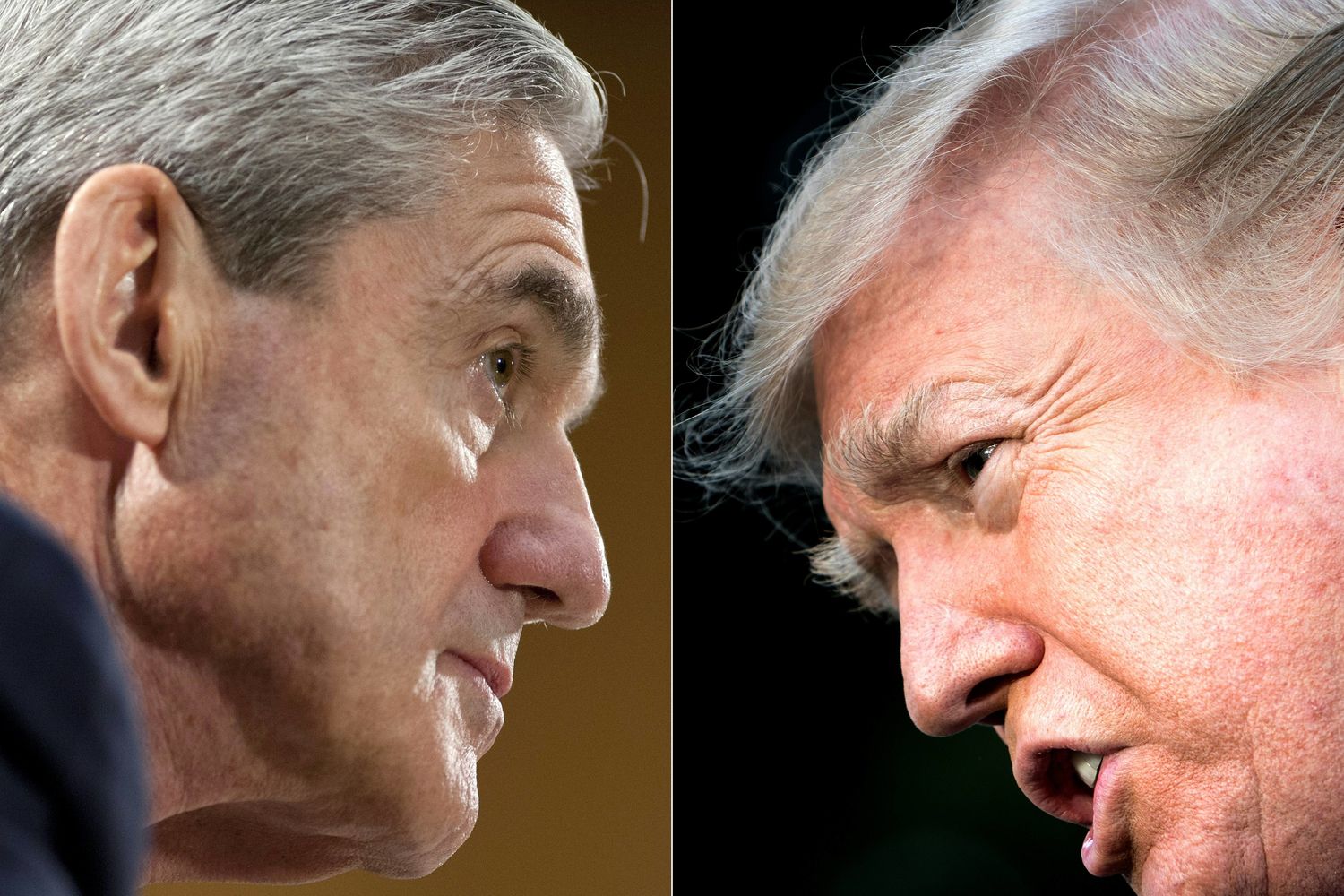 Il direttore dell' FBI Robert Mueller e il presidente americano Donald Trump&nbsp;
