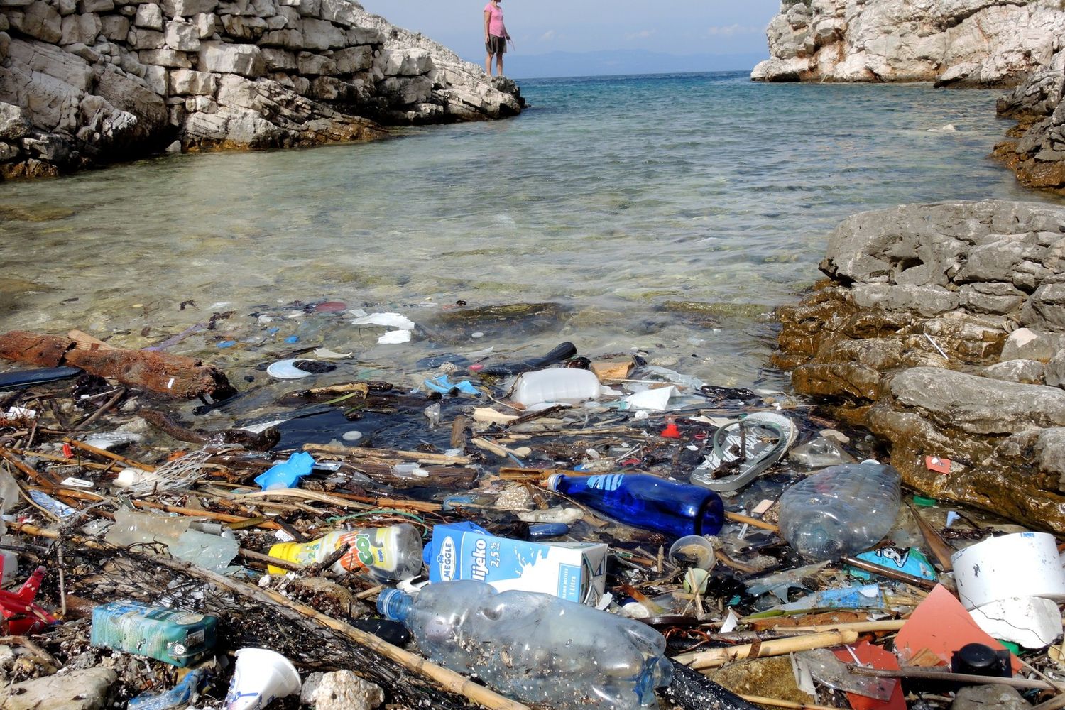 &nbsp;Inquinamento da plastica