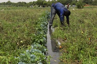 Alleanza tra Eni e Fao per promuovere l&#39;accesso all&#39;acqua in Nigeria