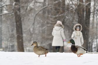 &nbsp;Parco Sempione, Milano
