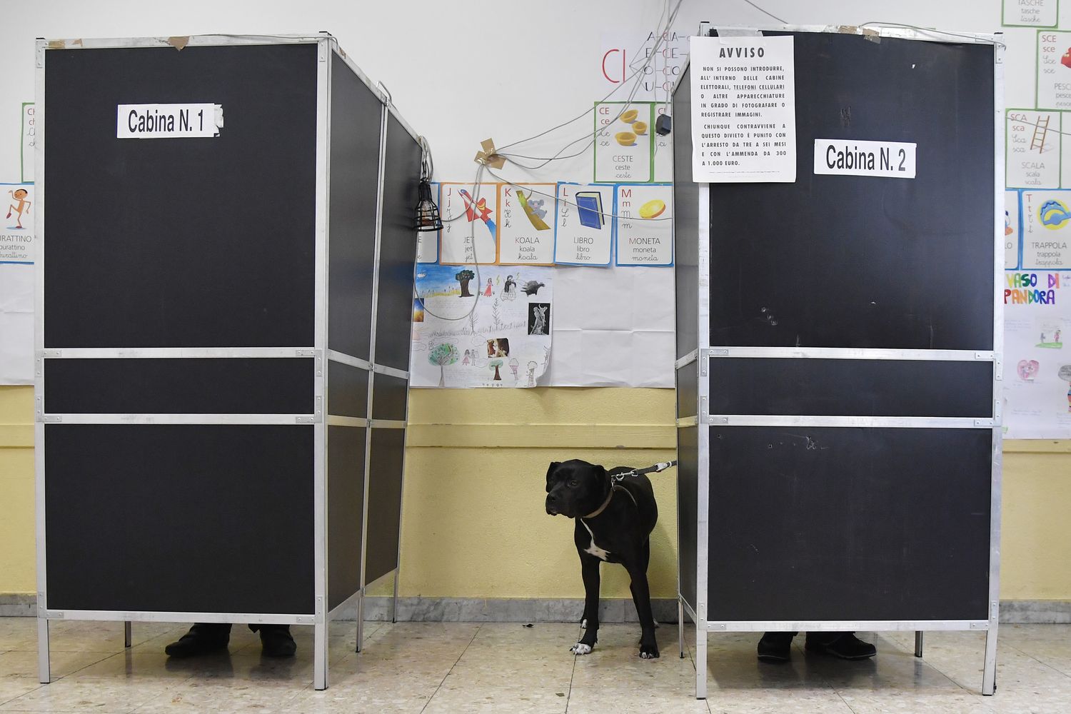 elezioni affluenza voto (afp)&nbsp;