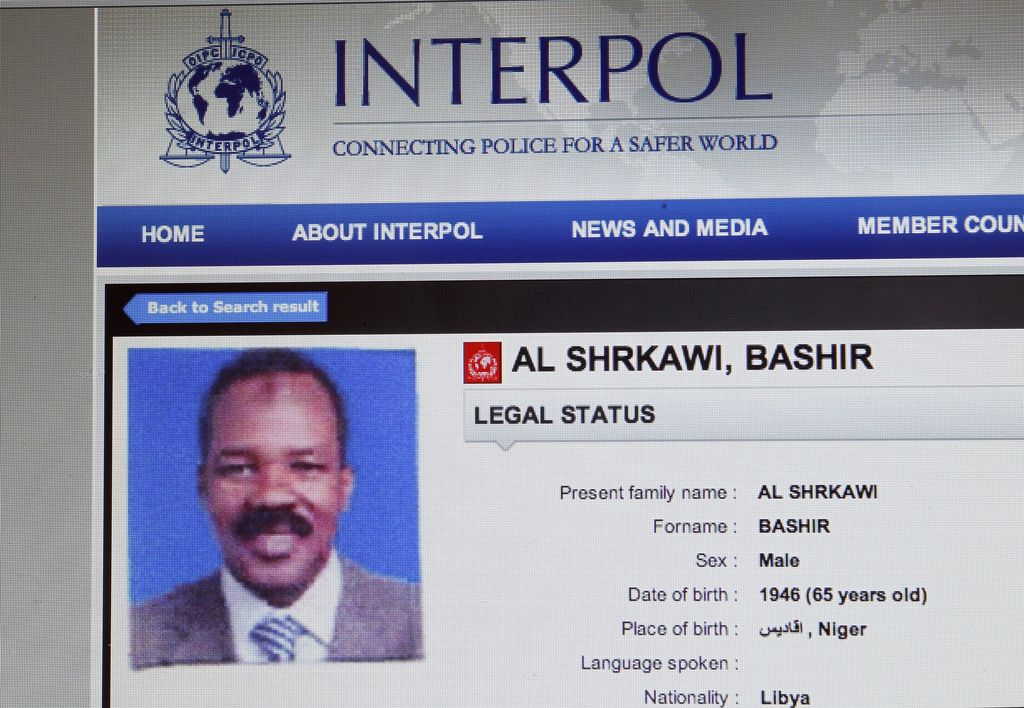 &nbsp;Il file dell'Interpol su Saleh