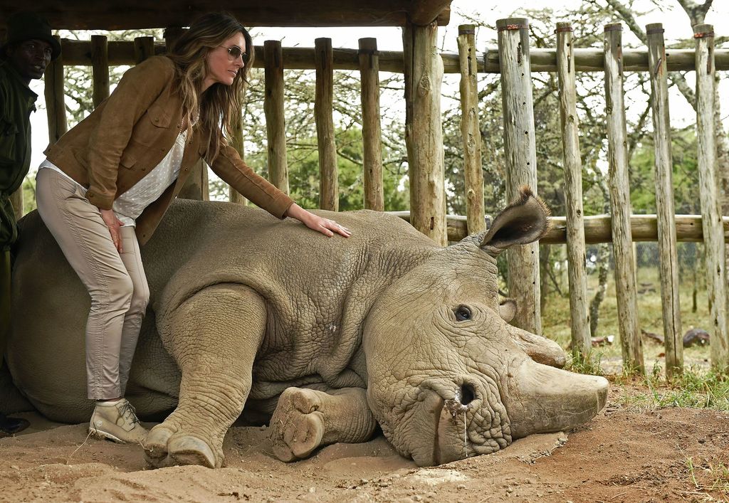 &nbsp;L'attrice Liz Hurley con l'ultimo rinoceronte bianco nell'aprile del 2018