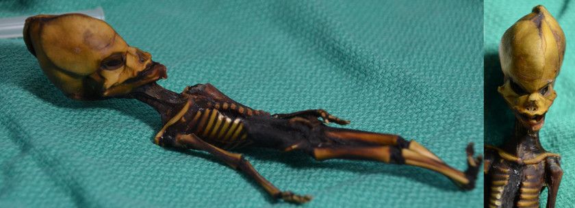 Ata, la piccola mummia scoperta in Cile&nbsp;