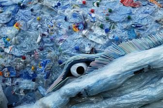 Una gigantesca balena di 250 kg di plastica, la stessa quantit&agrave; che inquina l'oceano ogni secondo&nbsp;