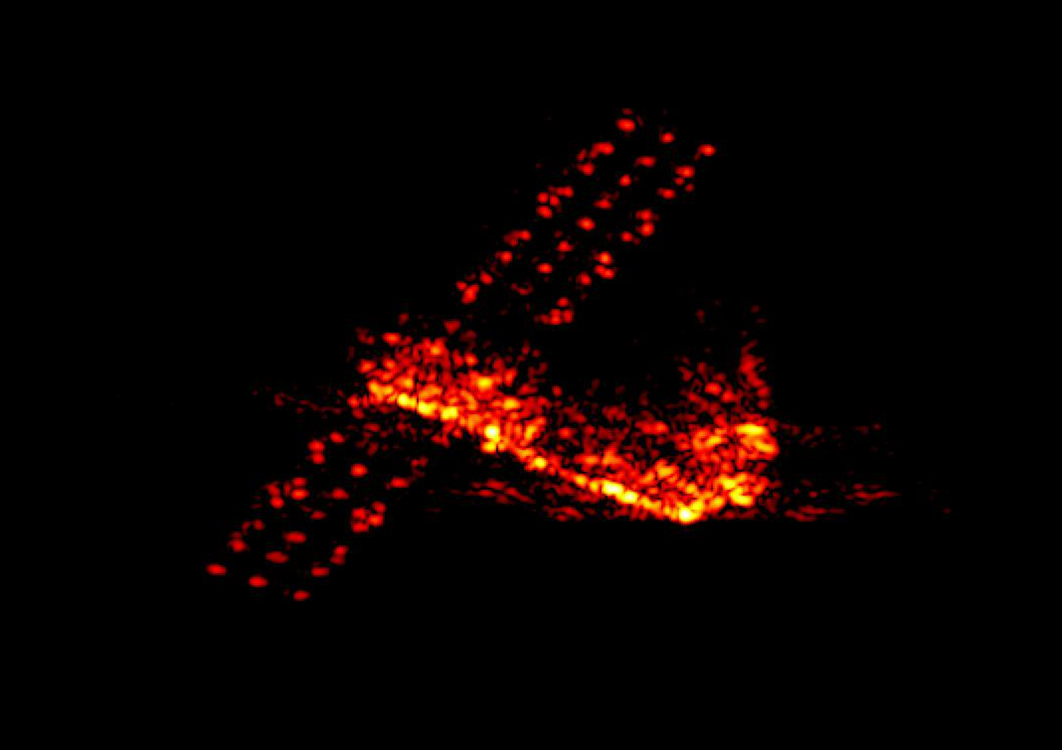 &nbsp;La stazione spaziale cinese, fotografata dall' Istituto Fraunhofer