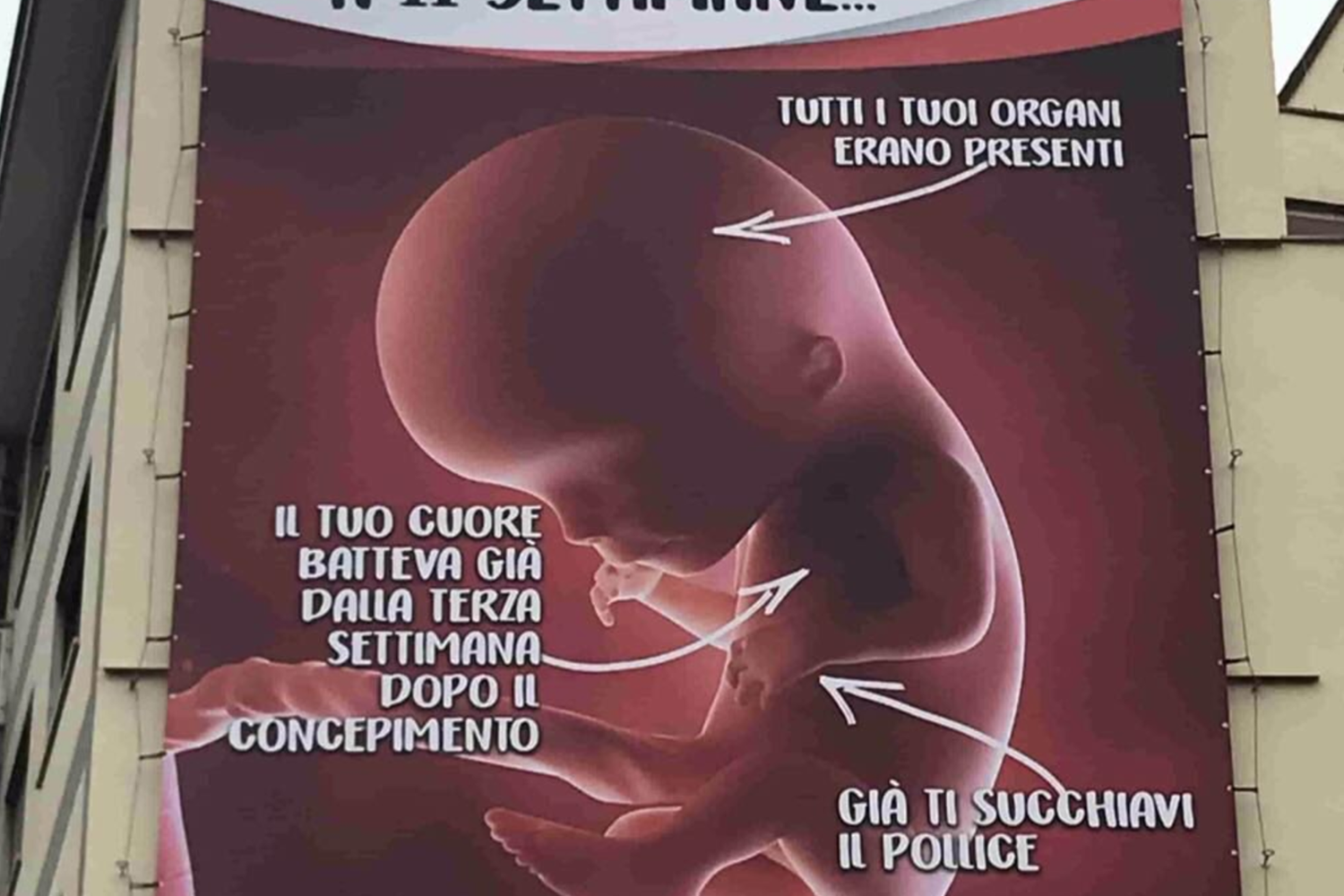 &nbsp;Il manifesto dell'associazione antiabortista ProVita