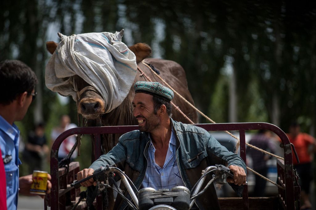 Xinjiang (AFP)