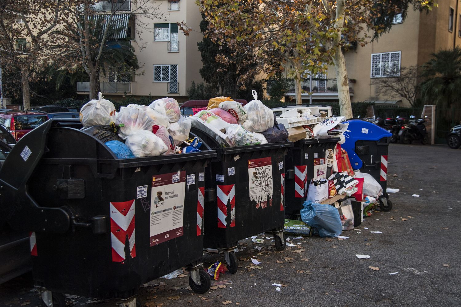 Cassonetti di rifiuti (AGF)