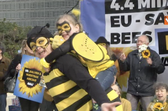 Salviamo le api dall&#39;estinzione A Bruxelles il flash mob di Avaaz