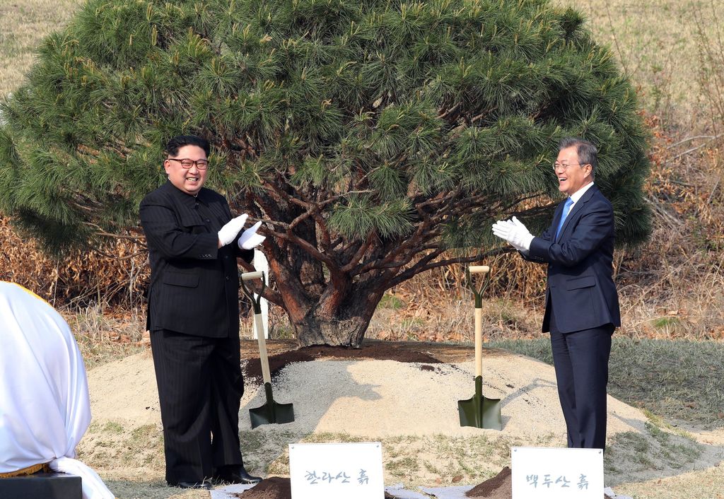 &nbsp;Kim e Moon dopo aver piantato un pino insieme in ricordo dell'incontro