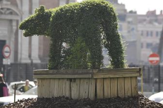 &nbsp;La siepe a forma di lupa di Piazza Venezia