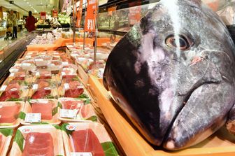 Gli effetti salutari del tonno sono molti (anche di quello in scatola). Cosa sapere