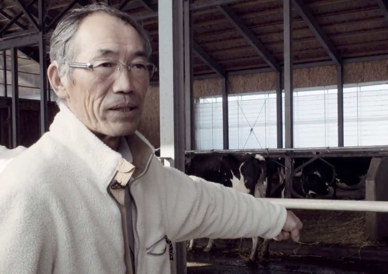 Perch&eacute; la storia del robot-lattaio dell&#39;Hokkaido ci riguarda