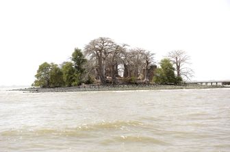 &nbsp;L'isola di Kunta Kinte