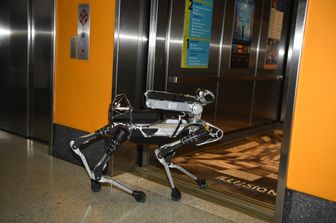 E voi cosa fareste con un cane robot?