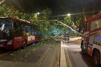 &nbsp;L'incidente a viale delle Milizie, Roma