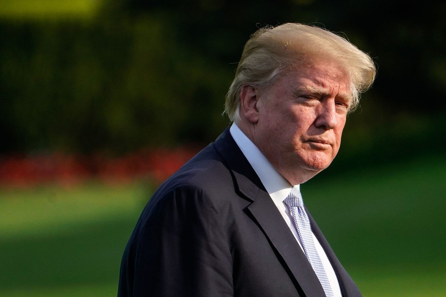 Donald Trump (Afp)&nbsp;