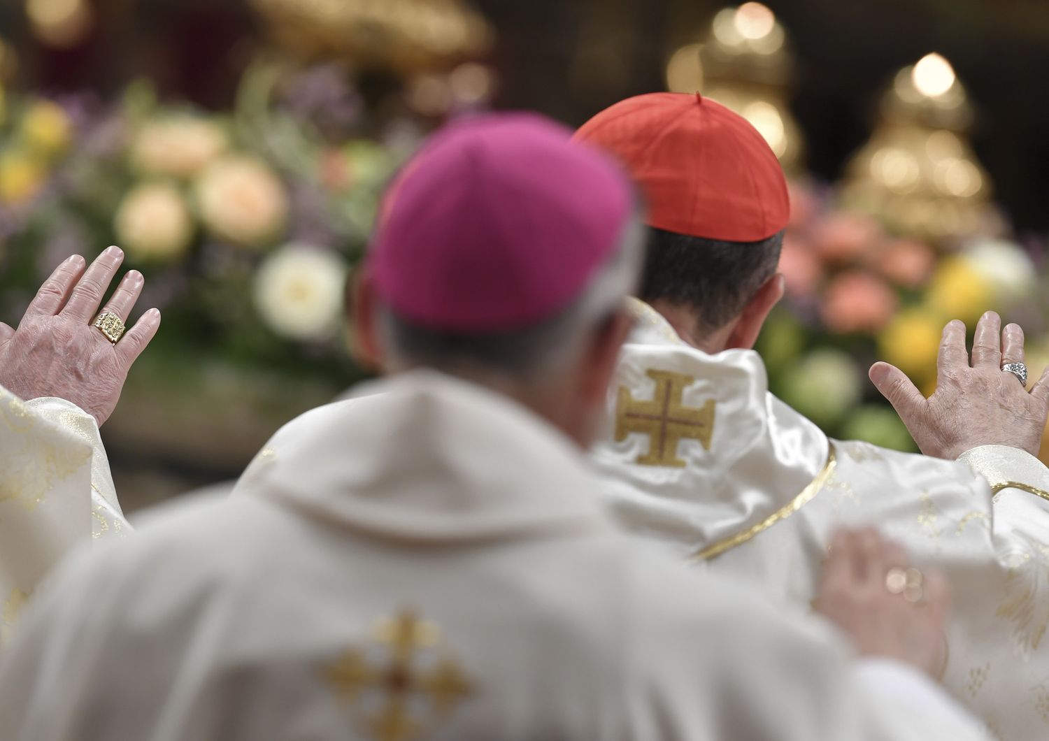 &nbsp;Cardinali, vaticano, papa