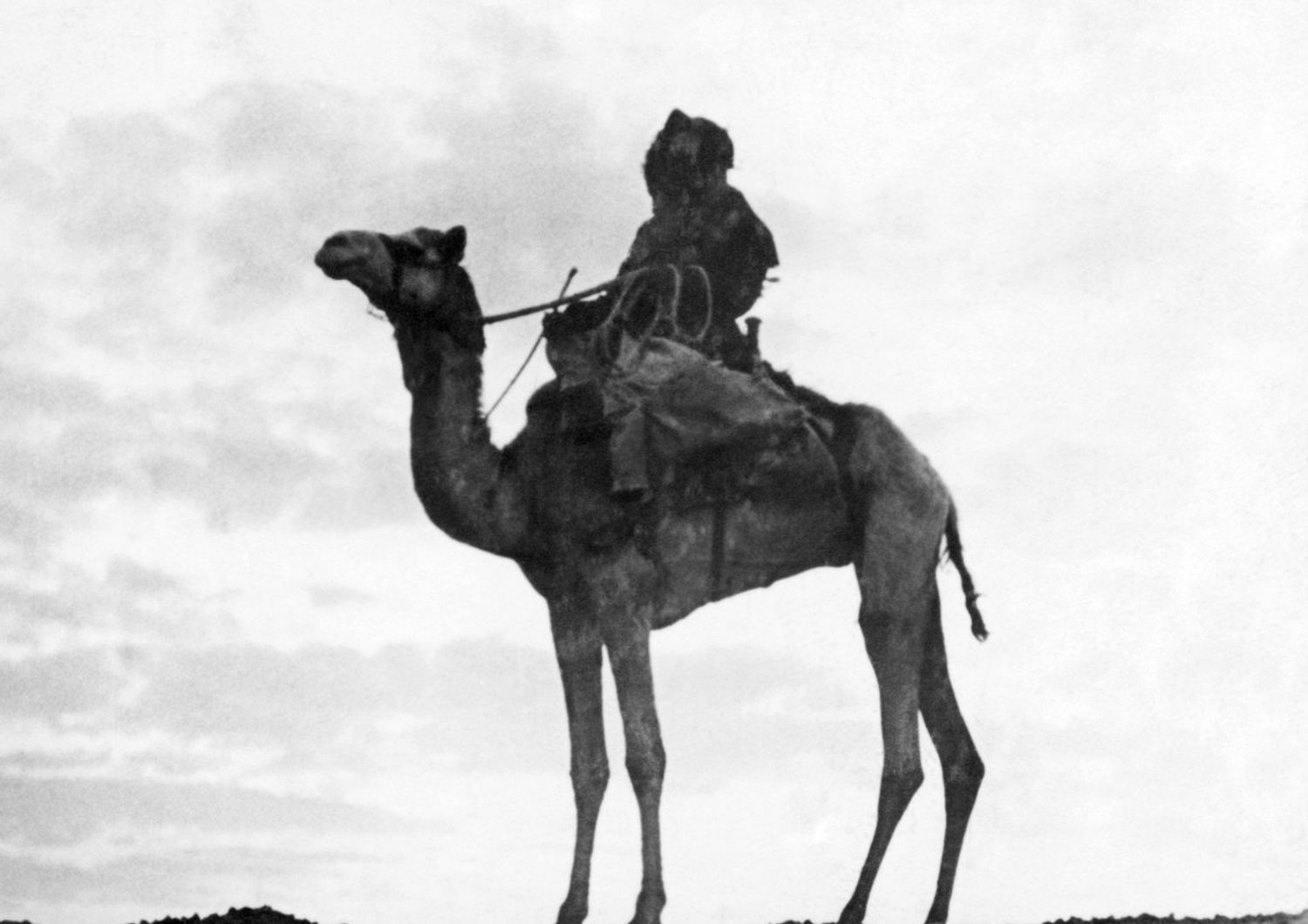 &nbsp;Beduino palestinese nel 1946